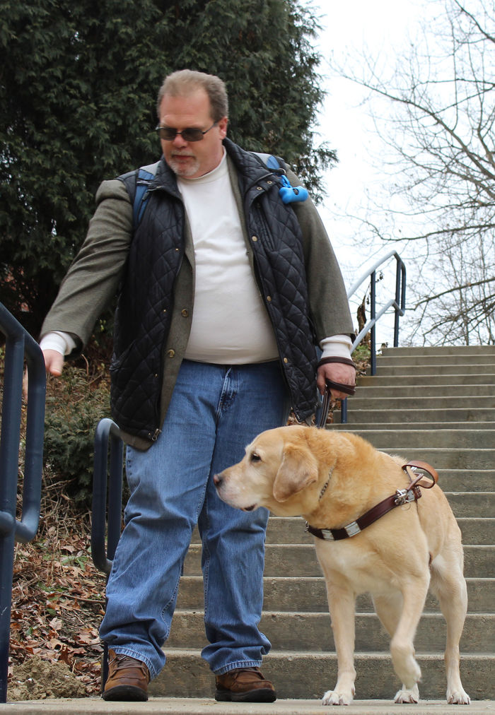 Service Dog Nittany making sure Jerry is safe before continuing down steps 