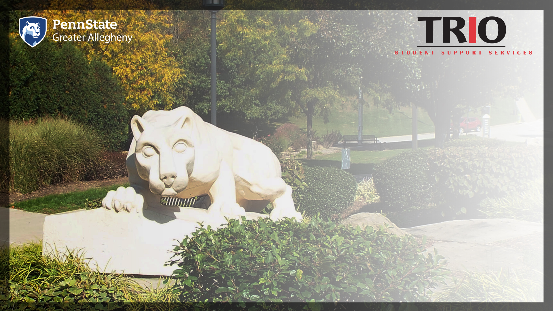 Penn State Greater Allegheny Lion Shrine-ACE Background