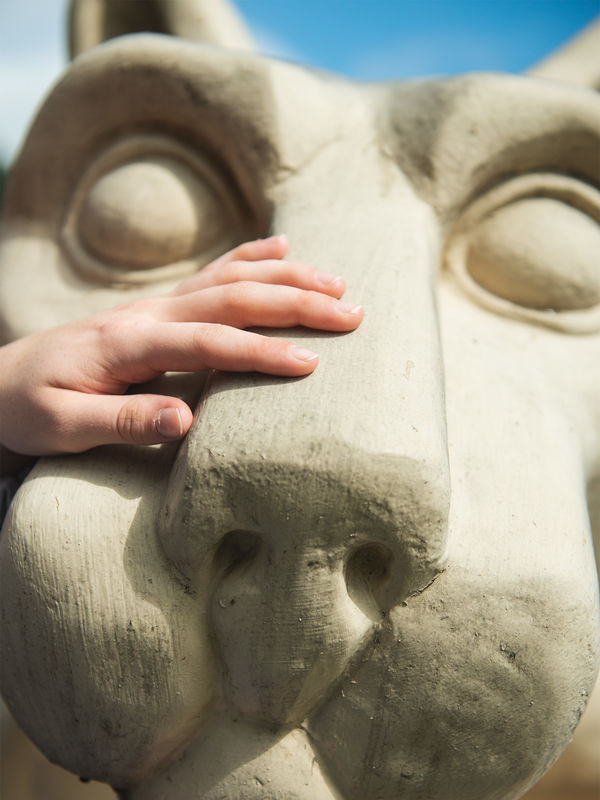 A hand placed on the nose of the Nittany Lion Shrine statue.