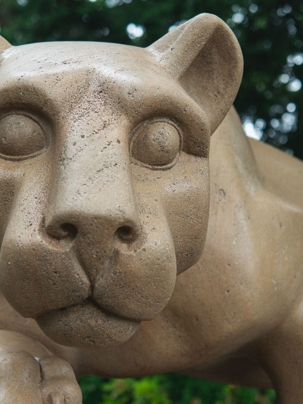 Lion Shrine Close-up