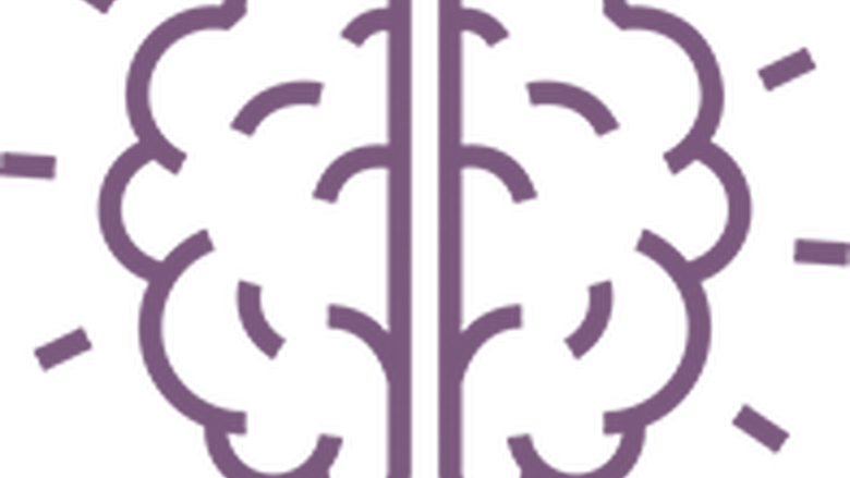 Image of a brain. (NACE Competency - Critical Thinking)