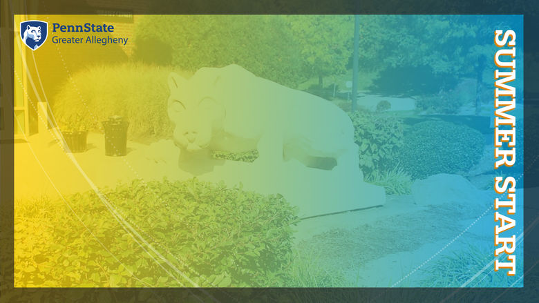 Zoom Background featuring the Lion Shrine