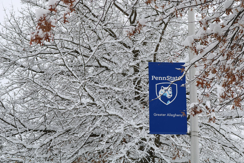 Snow covered tree at Penn State Greater Allegheny
