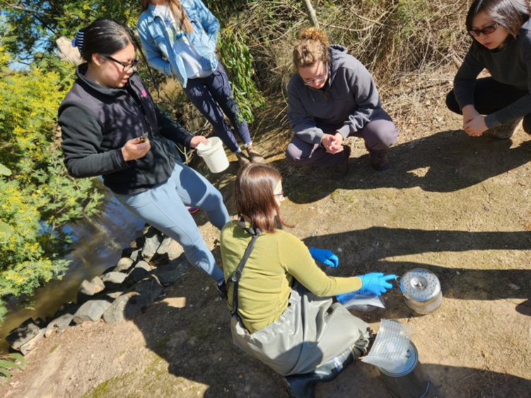 Students gathered around a water sampling device that is on the ground outside
